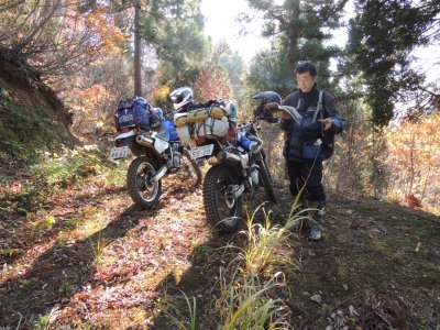020.七々頭ヶ岳あたりの林道③