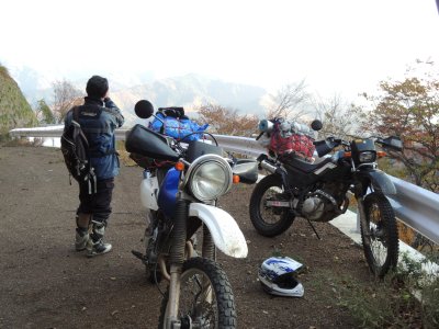 025.横山岳あたりの林道②