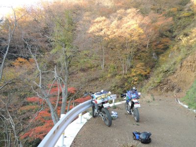 024.横山岳あたりの林道①