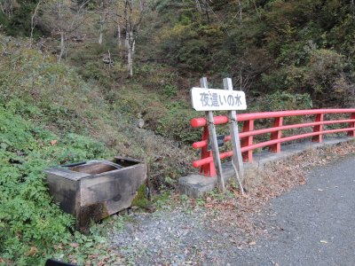 027.横山岳あたりの林道④