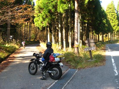 008.マキノ黒河林道へ①