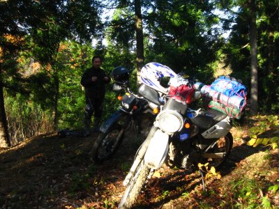 019.七々頭ヶ岳あたりの林道②