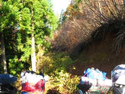 018.七々頭ヶ岳あたりの林道①