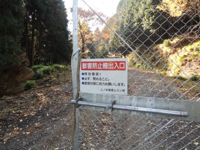 005.大河内林道②