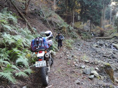 006.大河内林道③