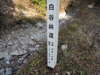 012.白谷林道②