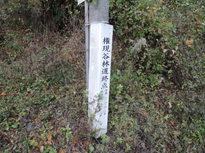 016.権現谷林道の終点にて