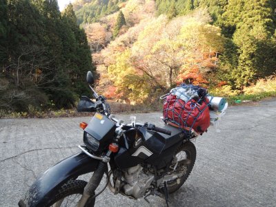 017.権現谷林道の終点にて②