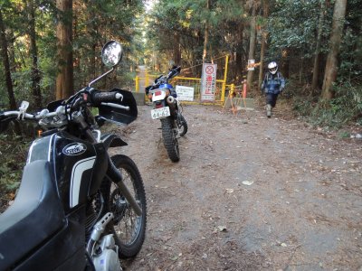 020.悟入谷林道①