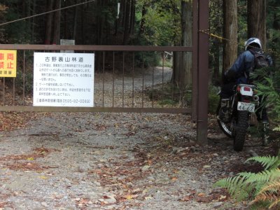 021.悟入谷林道からすぐに林道が