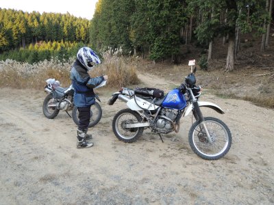 022.広場に出てきたようです①