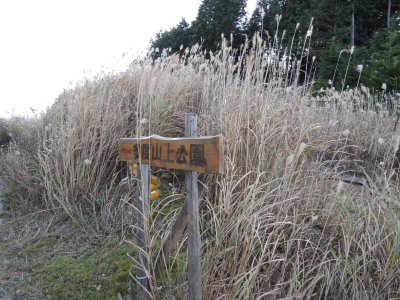 023.広場に出てきたようです②