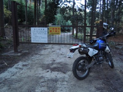 029.悟入谷林道続き①