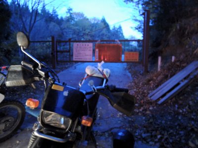 030.悟入谷林道続き②