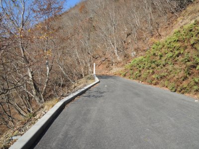 010.御池林道の枝道①