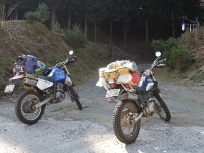 012.林道見つけたぞ