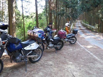 002.葛城山エリアの林道①