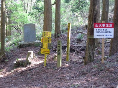 003.葛城山エリアの林道②