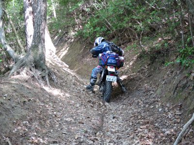 005.葛城山エリアの続き①