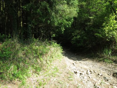 010.さらに続く葛城山エリア③