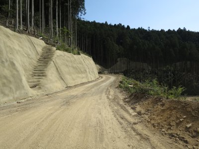 026.坂泰林道エリア⑤