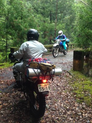 011.小匠ダムから先の林道③