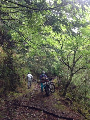 017.しつこく林道を①