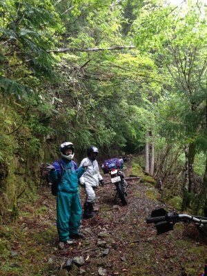 018.しつこく林道を②