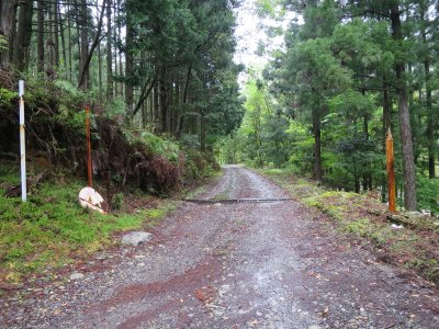016.未練がましく②（佐渡林道あたり）