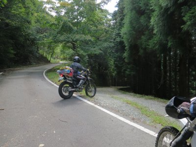 010.名前知らない林道へ①