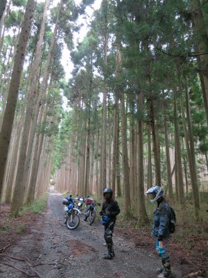 016.通り抜けました②