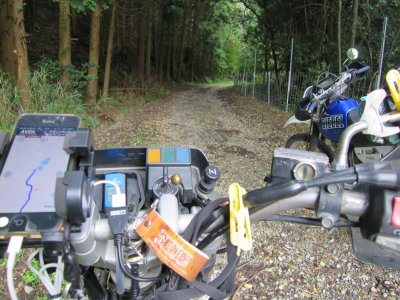 005.１本目の林道②