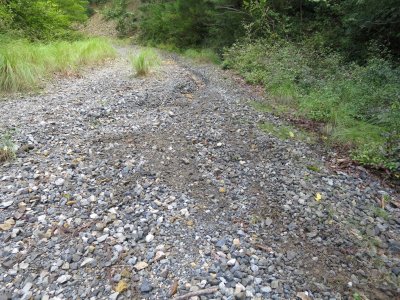 013.松ちゃん転倒②