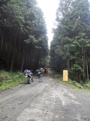 006.１本目の林道③