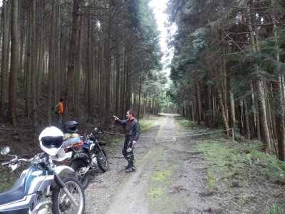 007.１本目の林道④