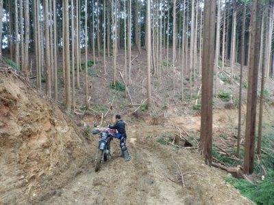 019.阿舎利の林道では①