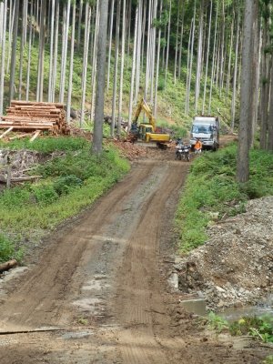 021.阿舎利の林道では③