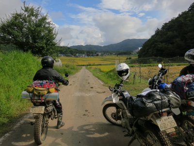 006.野営地からすぐの林道へ④