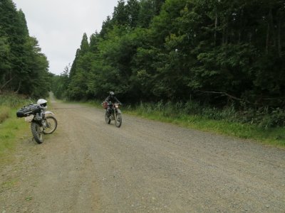 014.直線ダート＿コータ君①