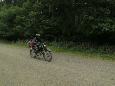 015.直線ダート＿コータ君②