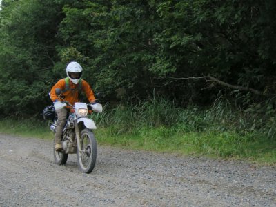 022.直線ダート＿トドロッキー②