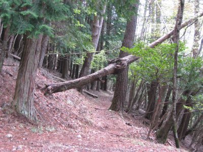 012.松尾峠の奥②