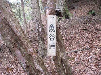 021.雲が畑エリア④