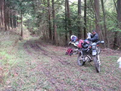 001.２日目の朝です①