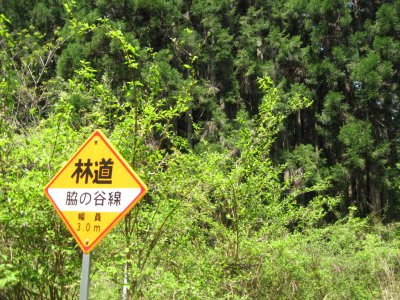 009.林道脇の谷線①