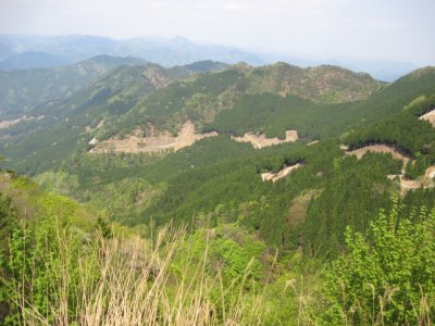 015.粟鹿山林道②