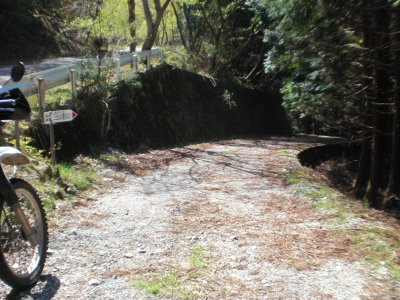 006.坂水林道②