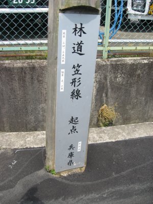 010.しつこく林道を①