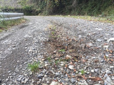 015.コータ君転倒？①