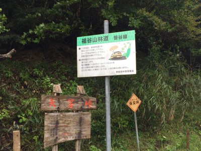 004.祖谷山林道②